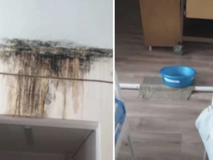 Климовскую ЦРБ наказали за текущую в палатах крышу