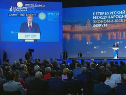 Александр Богомаз принял участие в пленарном заседании Петербургского МЭФ