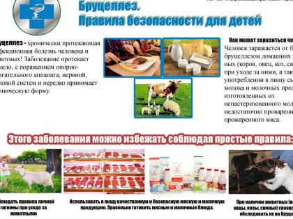 ОСТОРОЖНО! БРУЦЕЛЛЁЗ