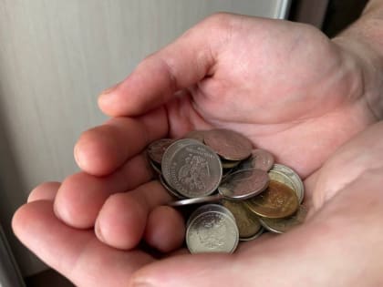 Скачок цен: что стало дороже в Брянской области в декабре 2024 года?