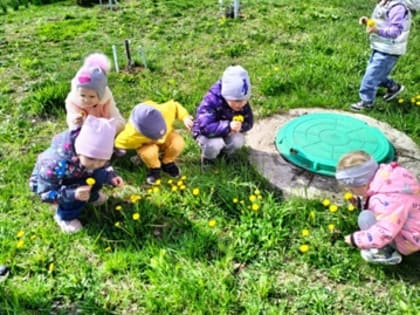 Злынковские дошколята отметили Всемирный День одуванчиков