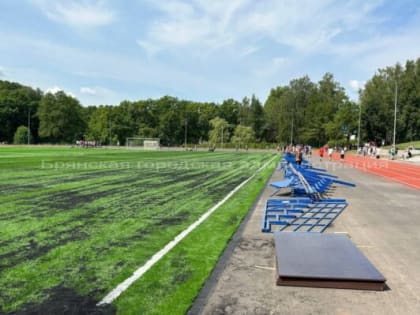 В Брянске на стадионе «Камвольщик» под присмотром властей продолжают устранять дефектыдефекты   