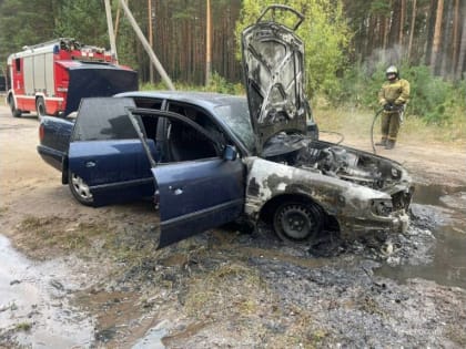 Чрезвычайная ситуация в Брянской области: последствия наводнения
