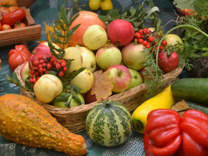 СЕЛЬСКОХОЗЯЙСТВЕННУЮ ЯРМАРКУ РЕШЕНО ПРОДЛИТЬ