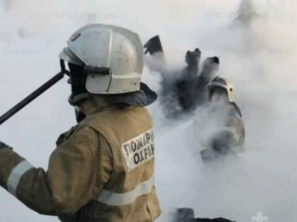 100 тысяч кур погибли при пожаре на птицеводческой ферме «Мираторга» в Брянской области