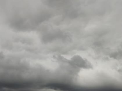 События в Брянской области