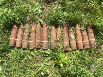 Под Севском обнаружили 13 снарядов и мину
