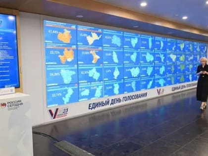 Выборы в ЦФО возвеличили сильнейших политиков независимо от отдельных народных симпатий