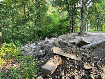 Власти Брянска под бдительным оком прокуратуры за год не справились со строительной свалкой на склонах «Соловьёв»