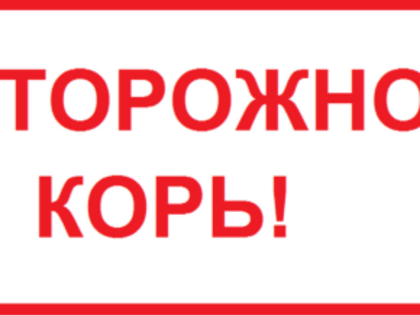 Трубчанам рассказали об опасности коревой инфекции и способах борьбы с ней