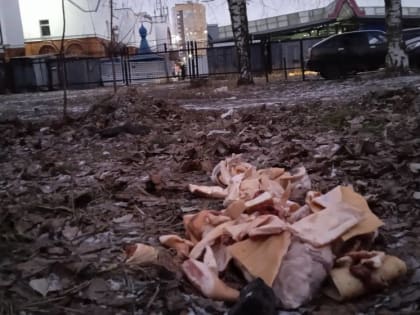 В Брянске возле рынка на Авиационной выбросили гору мяса − собаки отказались его есть