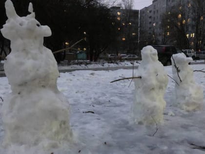 Жителей Брянской области синоптики предупредили о холодном марте 2023 года