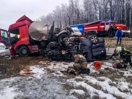 В страшном ДТП с микроавтобусом под Тулой погибли 9 человек