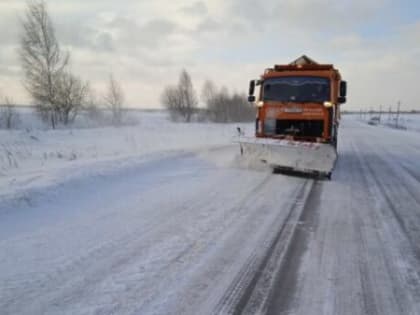 Автомобильные дороги на Брянщине обрабатывают и чистят