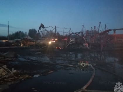 Пожар на деревообрабатывающем предприятии в Локте