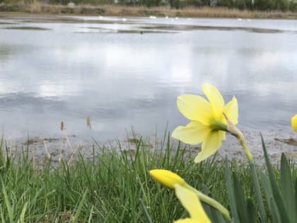 В Брянской области во время оранжевого уровня опасности похолодает до 1 градуса мороза