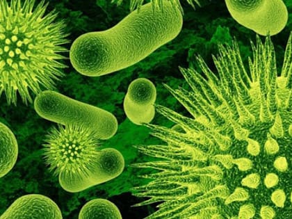 Внимание! Бруцеллез крупного рогатого скота