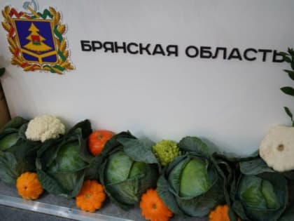 Индекс производства продукции сельского хозяйства в Брянской области увеличился