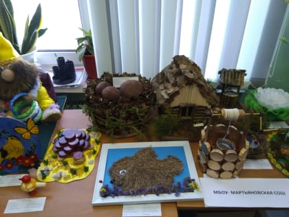 «Зеркало природы»