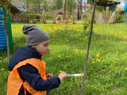 День Эколят в ДОУ № 15 