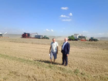 В Севском районе проходит уборка зерновых и озимого рапса