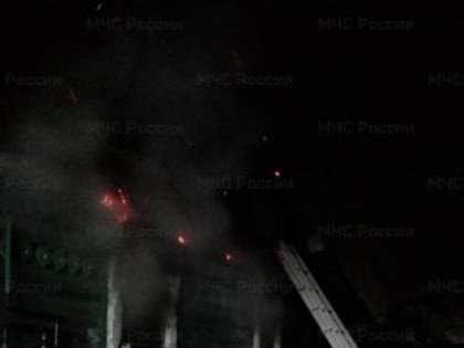 В деревне под Брянском среди ночи полыхнул жилой дом