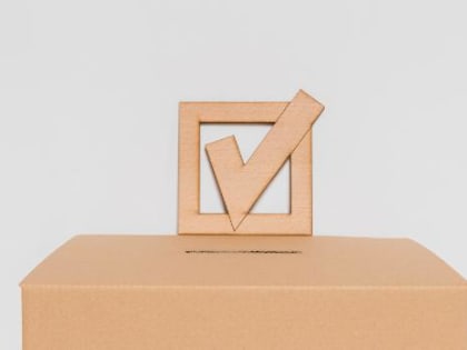 Брянский эксперт прокомментировал отсутствие выборов на Украине