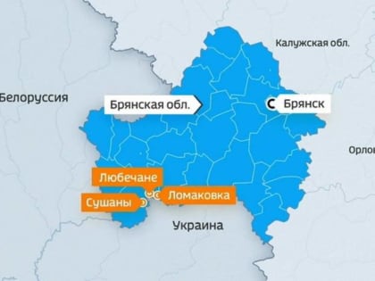 По атаковавшим Брянскую область диверсантам нанесли артиллерийский удар