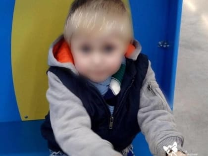 Семилетний ребенок умер от укуса опасного вида клеща