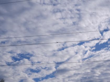 3 апреля на территории Брянщины пройдут дожди при 12 градусах тепла