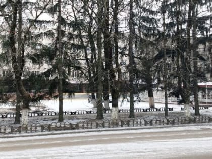 Брянские СМИ сообщили, что на улице Куйбышева наконец-то спилили  уродовавшие её ели. К сожалению, это обман