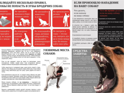 Соблюдайте несколько правил, чтобы не попасть в зубы собак