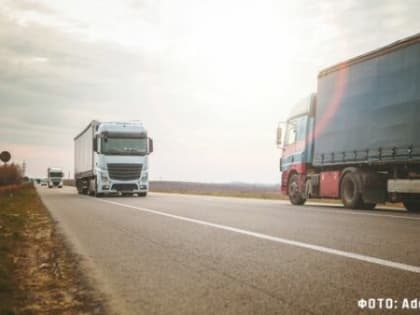 Брянщины наращивает экспорт продукции животноводства