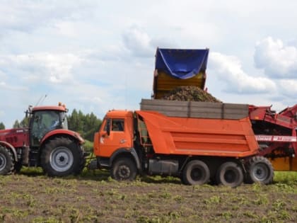 Брянщина получит 292 млн рублей на производство овощей