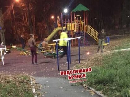 В Брянске молодежь устроила игрища на детской площадке