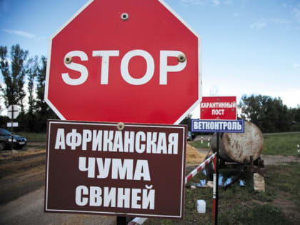 В Брянске проводят месячник по предотвращению гриппа птиц и АЧС