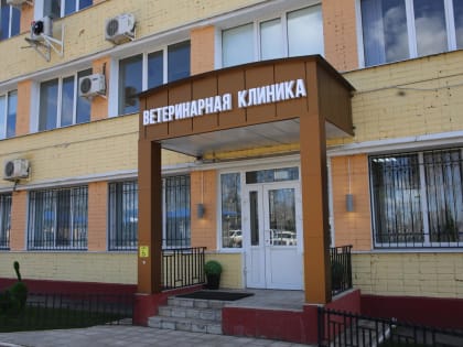 Секреты успешного кролиководства