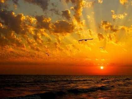 Брянский облсуд запретил эксплуатацию американского судна в акватории Черного моря