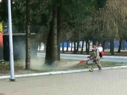 В Брянске ведется противоклещевая обработка