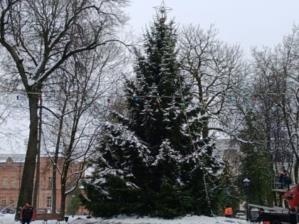 Главную новогоднюю ёлку Брянска украсили гирляндами и пятиконечной звездой