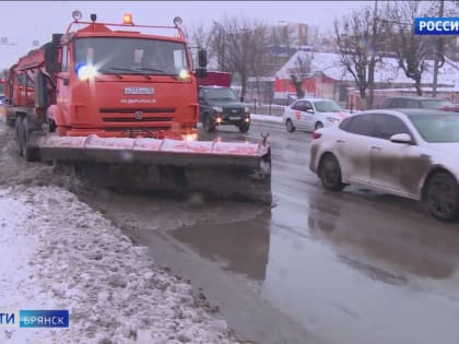 В Брянске, наконец-то, выпал снег