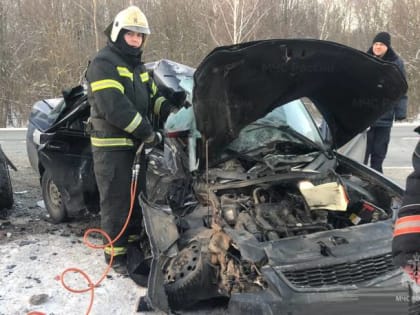 В аварии под Выгоничами погибли двое