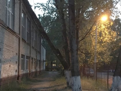 В Брянске на здание школы №51 обрушилось дерево
