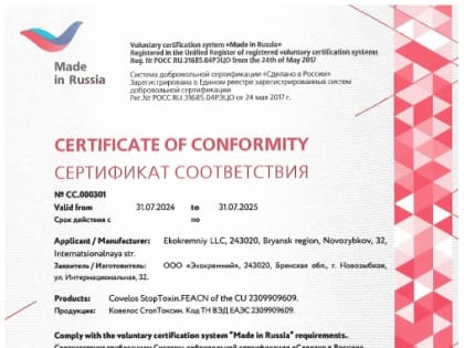 Новые инициативы по улучшению городской инфраструктуры