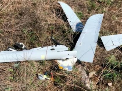 Российские войска сорвали планы Киева по атаке Брянщины