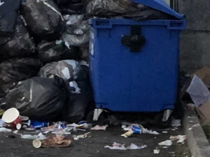 Брянская область стала лидером в России по собираемости платежей за вывоз бытовых отходов