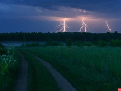 В Брянской области 29 июня прогремят грозы