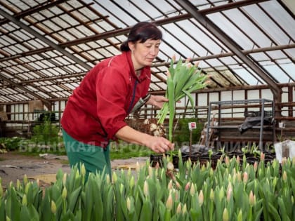 Брянские дорожники готовятся к 8 марта
