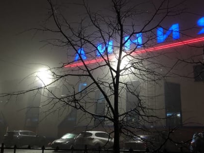 Утро нового года в Брянской области началось с густого тумана