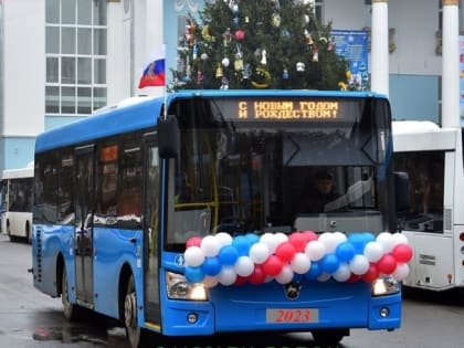 Чем больше автобусов, тем хуже работает брянский транспорт: междугородние рейсы возвращаются только с 10 января